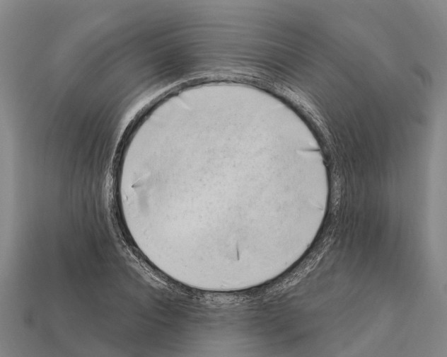 X0000111920928200909071214