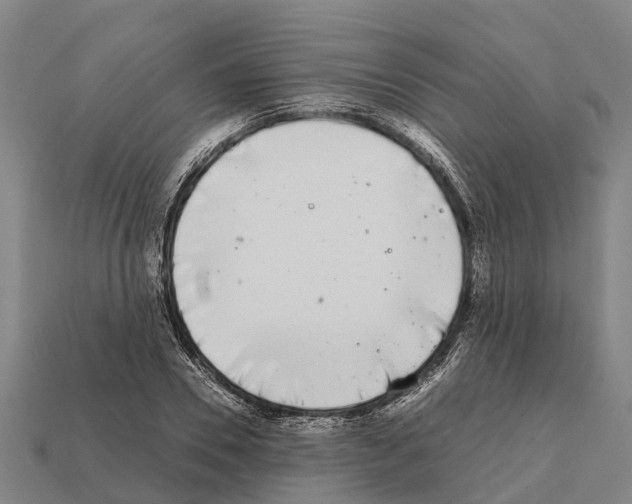 X0000111920930200909071214