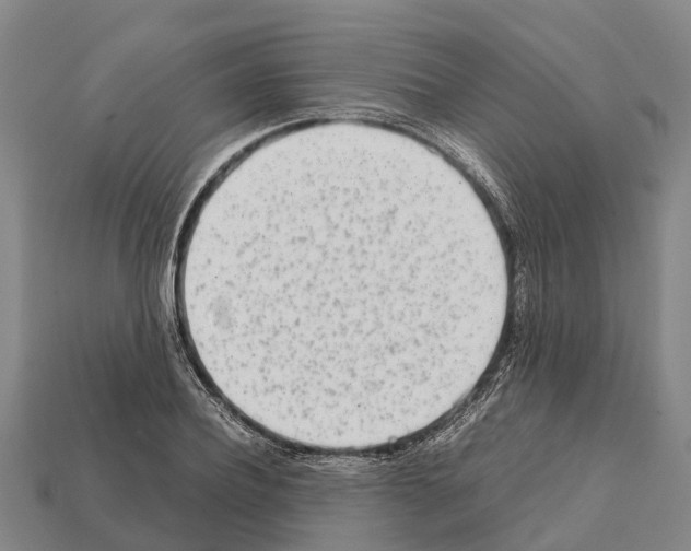 X0000111920932200909071214