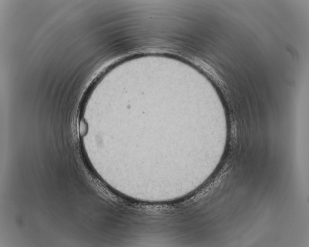 X0000111920934200909071214