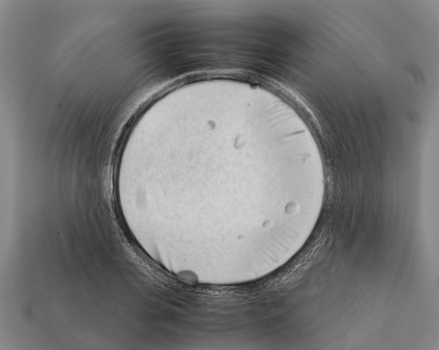 X0000111920935200909071214