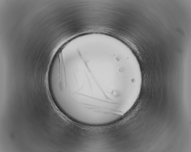 X0000111920936200909071214