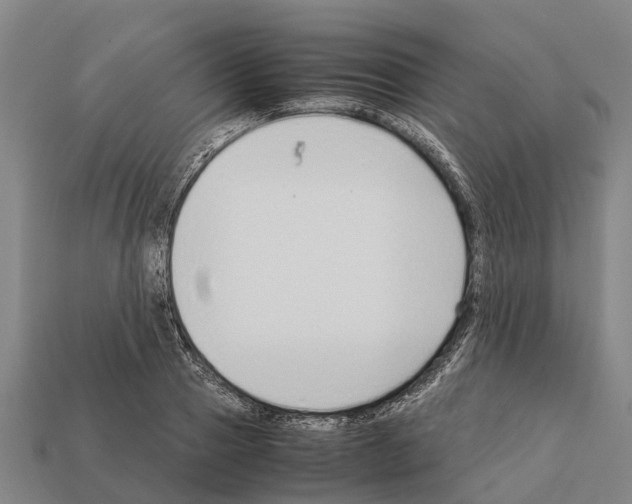 X0000111920937200909071214