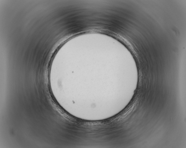 X0000111920939200909071214