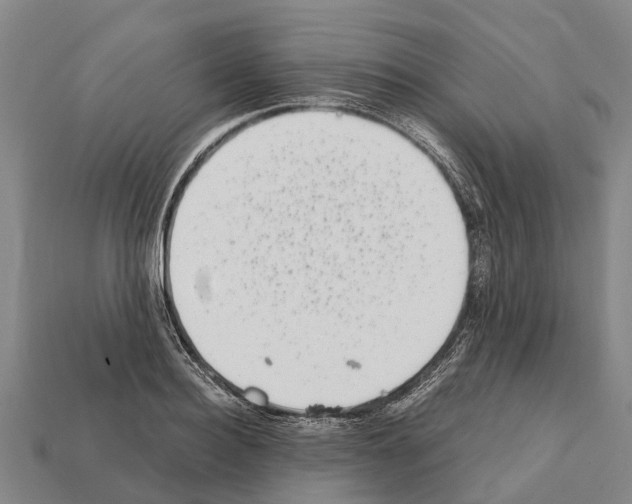 X0000111920940200909071214