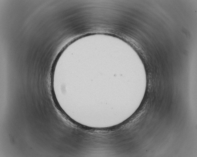 X0000111920942200909071214