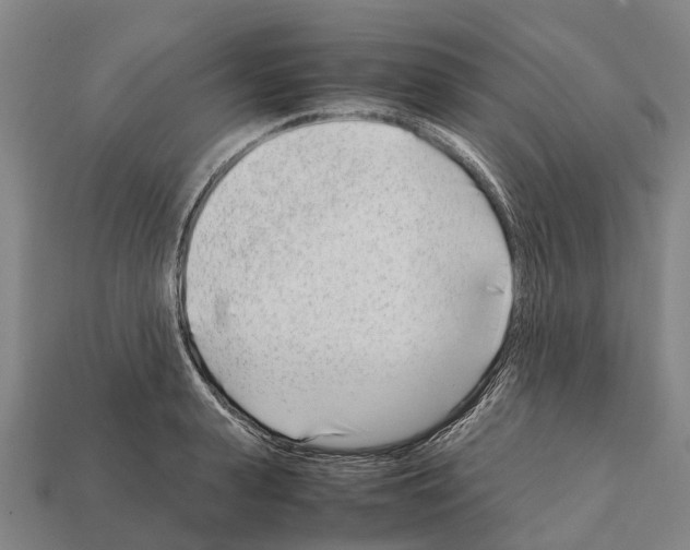 X0000111920943200909071214