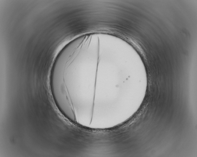 X0000111920944200909071214