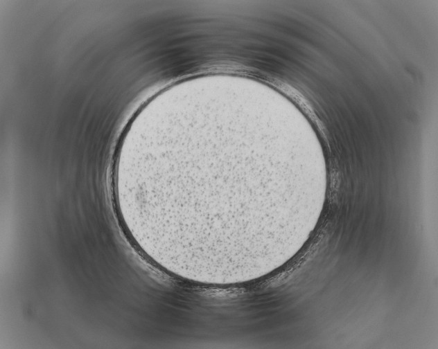 X0000111920947200909071214