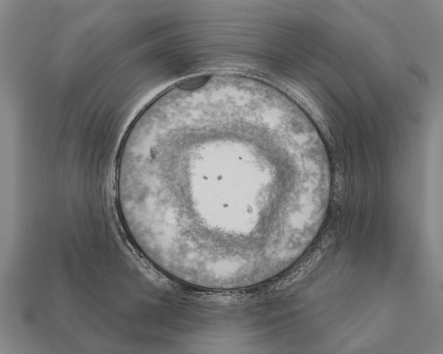 X0000111920948200909071214