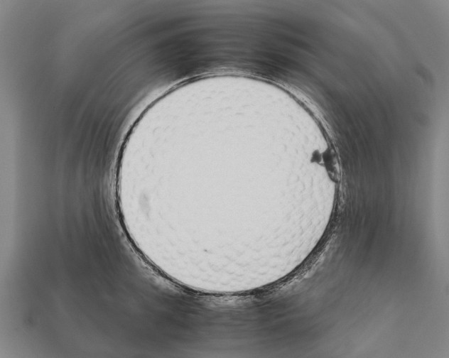 X0000111920949200909071214