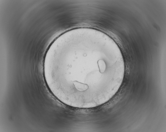 X0000111920950200909071214