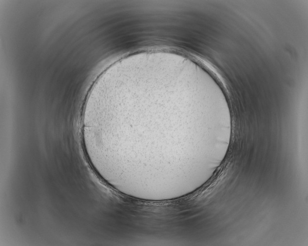 X0000111920951200909071214