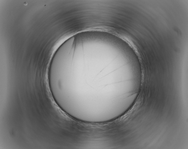 X0000111920952200909071214