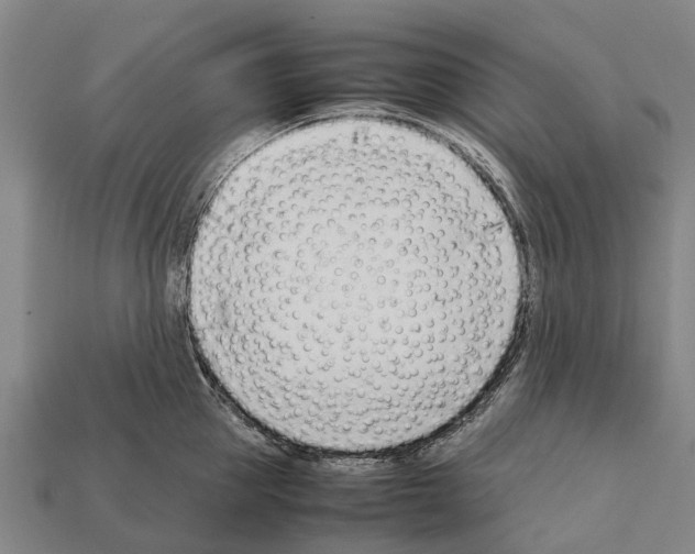 X0000111920953200909071214