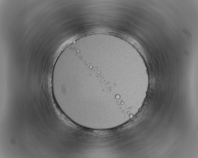 X0000111920954200909071214