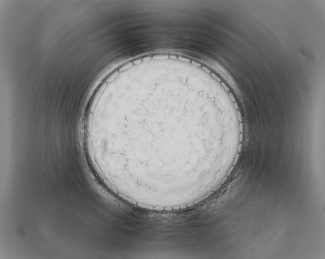 X0000111920955200909071214