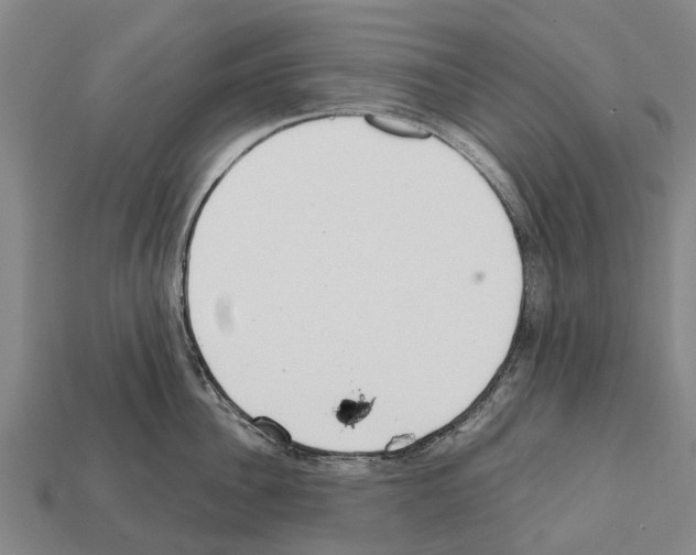 X0000111920956200909071214