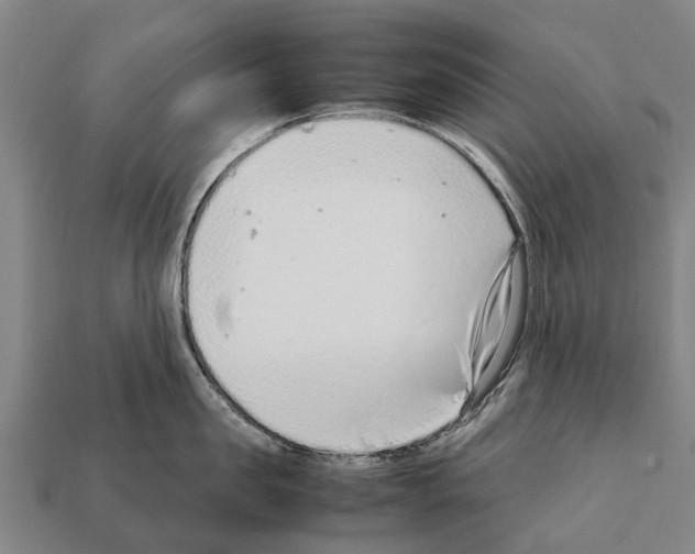 X0000111920957200909071214