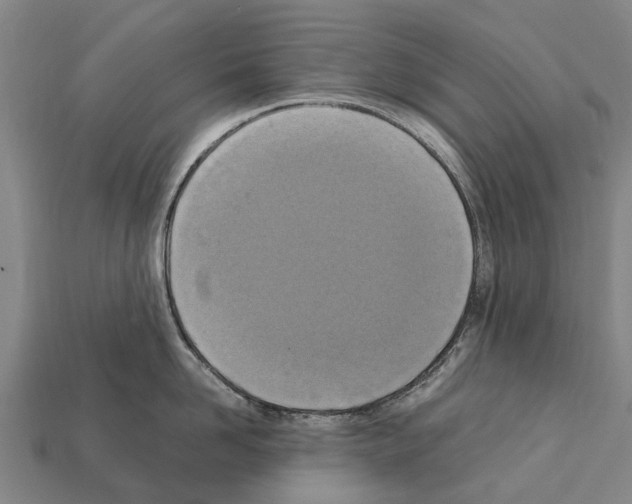 X0000111920958200909071214