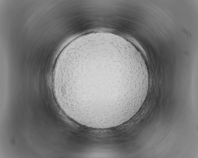 X0000111920959200909071214