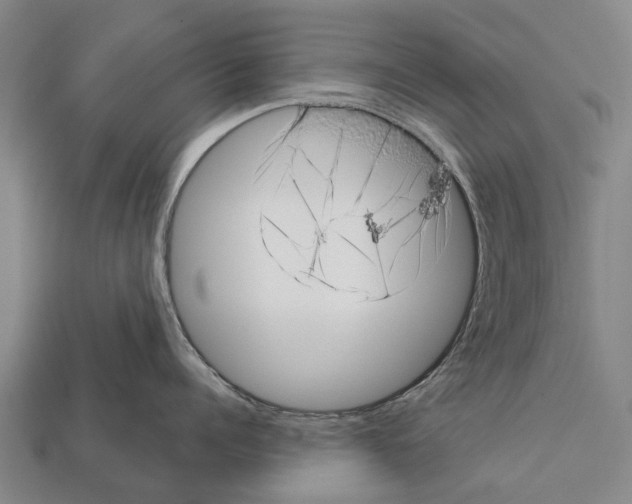 X0000111920960200909071214