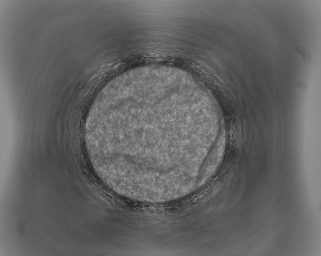 X0000111920961200909071214