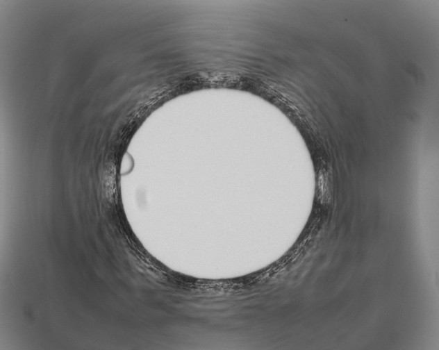 X0000111920963200909071214