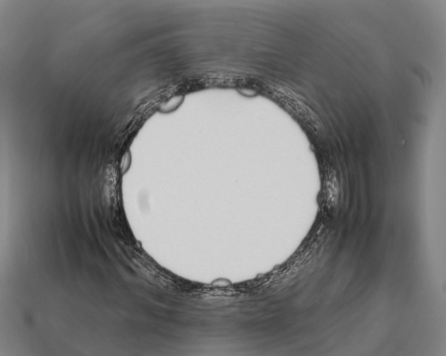 X0000111920964200909071214