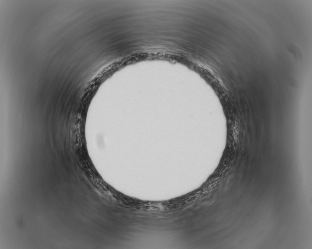 X0000111920968200909071214