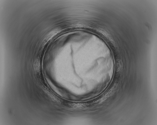 X0000111920969200909071214