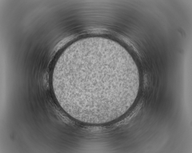 X0000111920970200909071214