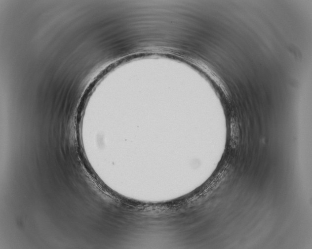 X0000111920972200909071214