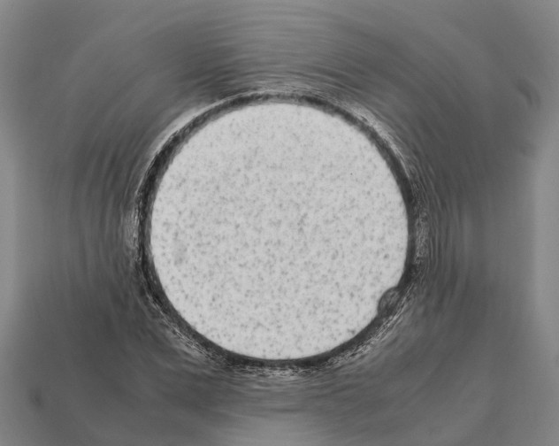 X0000111920975200909071214