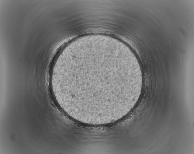 X0000111920979200909071214