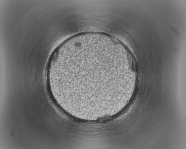 X0000111920981200909071214