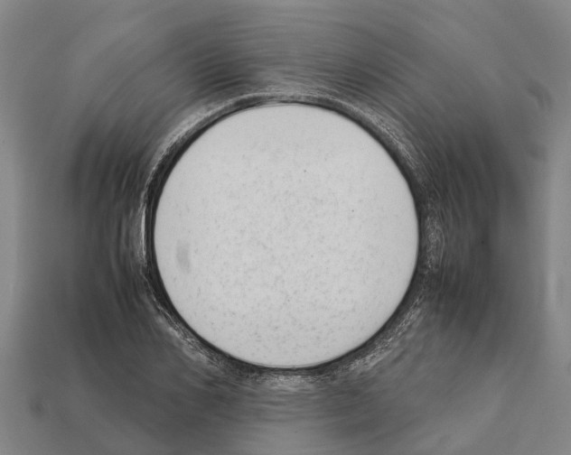 X0000111920982200909071214