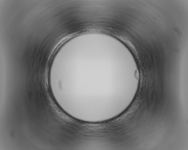 X0000111920984200909071214