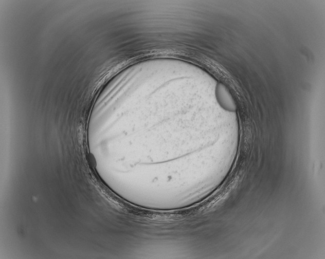 X0000111920985200909071214