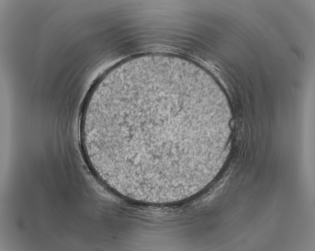 X0000111920987200909071214