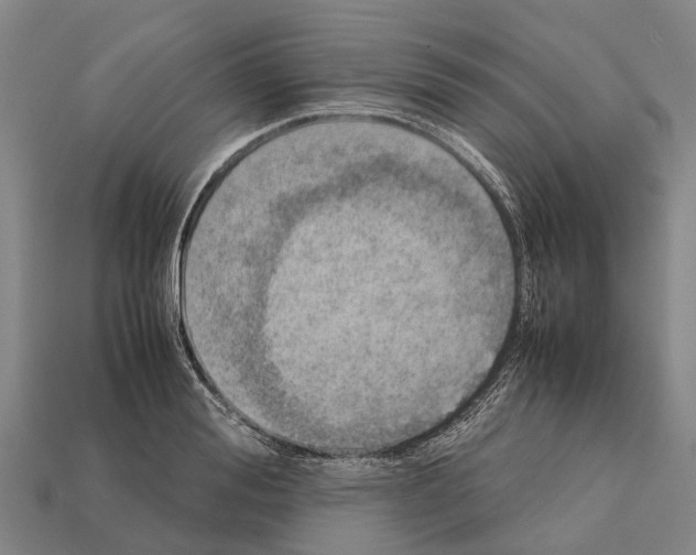 X0000111920988200909071214