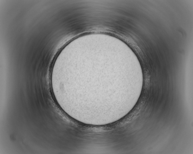 X0000111920990200909071213