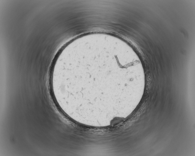 X0000111920991200909071213