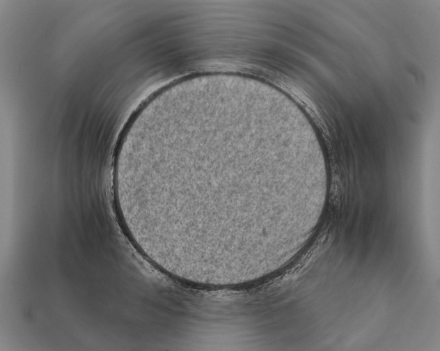 X0000111920992200909071213