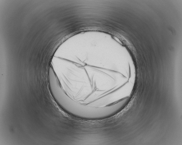 X0000111920993200909071213