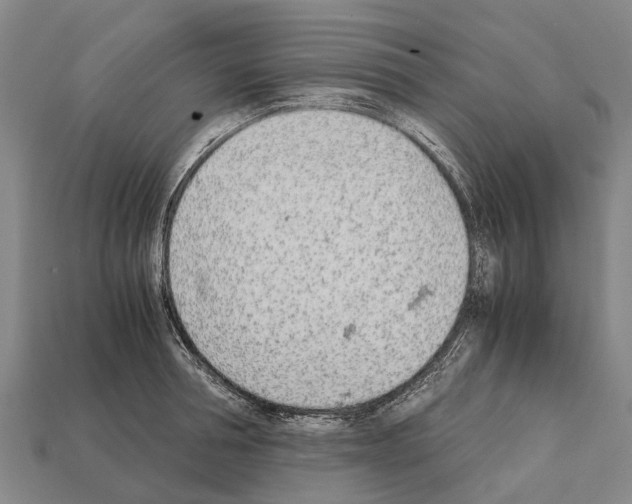 X0000111920994200909071213