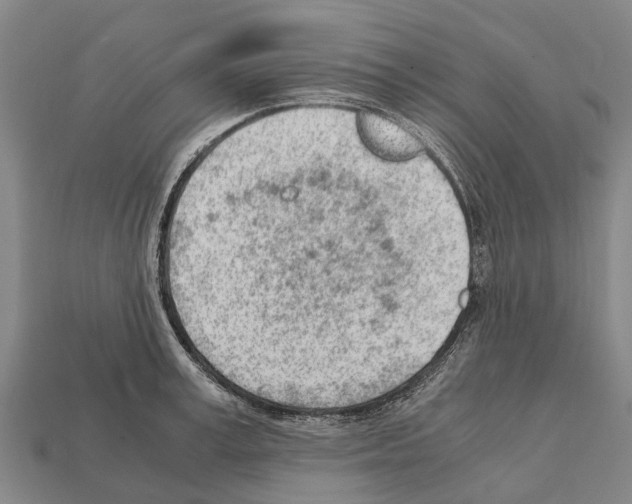 X0000111920995200909071213