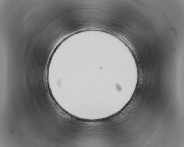 X0000111920996200909071213