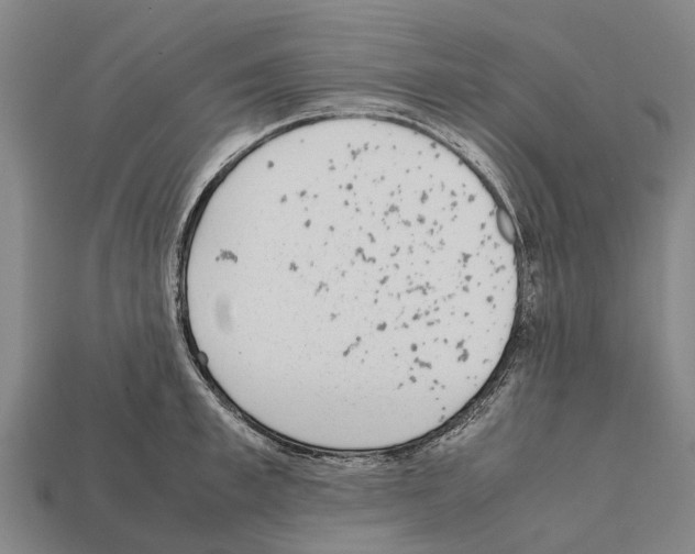 X0000111920997200909071213