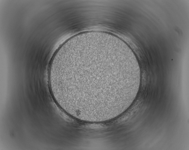 X0000111920998200909071213